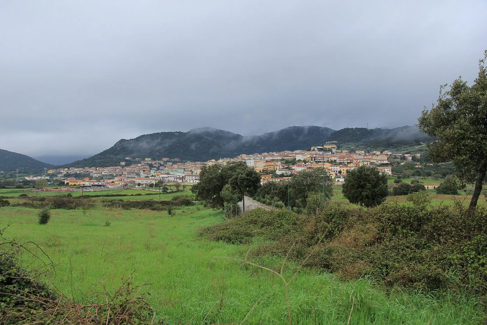 Panorama di Berchidda ai piedi delle colline, con i prati verdi in primo piano